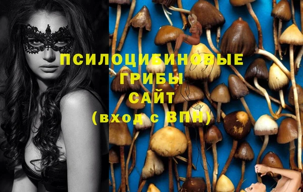 apvp Новодвинск