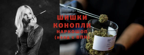PSILOCYBIN Новозыбков