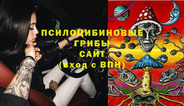 крисы Новокубанск