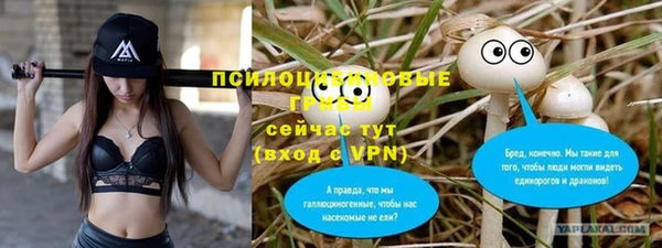 крисы Новокубанск