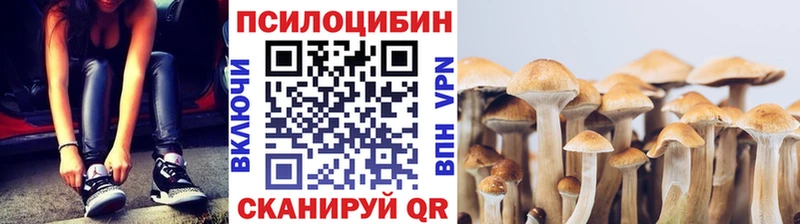 купить наркотики сайты  гидра рабочий сайт  Галлюциногенные грибы MAGIC MUSHROOMS  Первоуральск 
